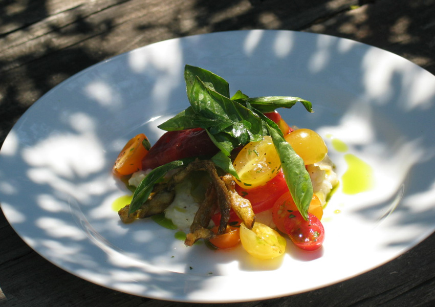 plated-tomato-salad